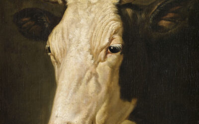 Tête de Vache