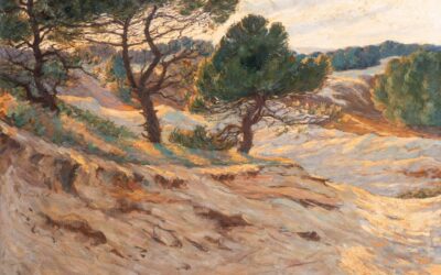 Vue des dunes à Condette