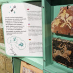 les petites clefs du chateau 4